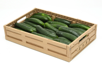 Kunststoff-Klappbox | 600x400x113 mm